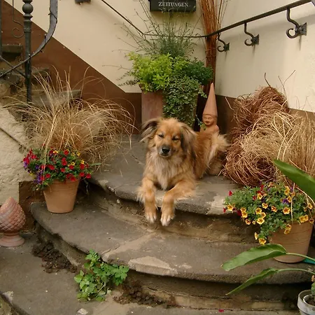 Altes Spitzhaus An Der Goldroul Senheim