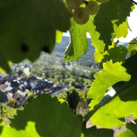 Altes Spitzhaus An Der Goldroul