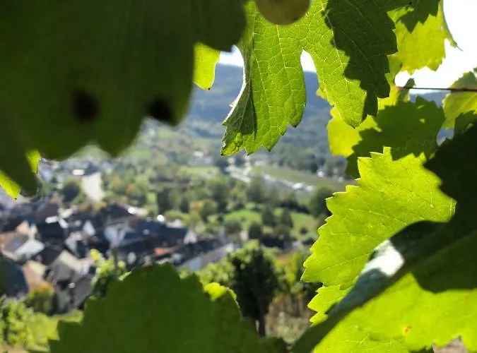 Altes Spitzhaus An Der Goldroul
